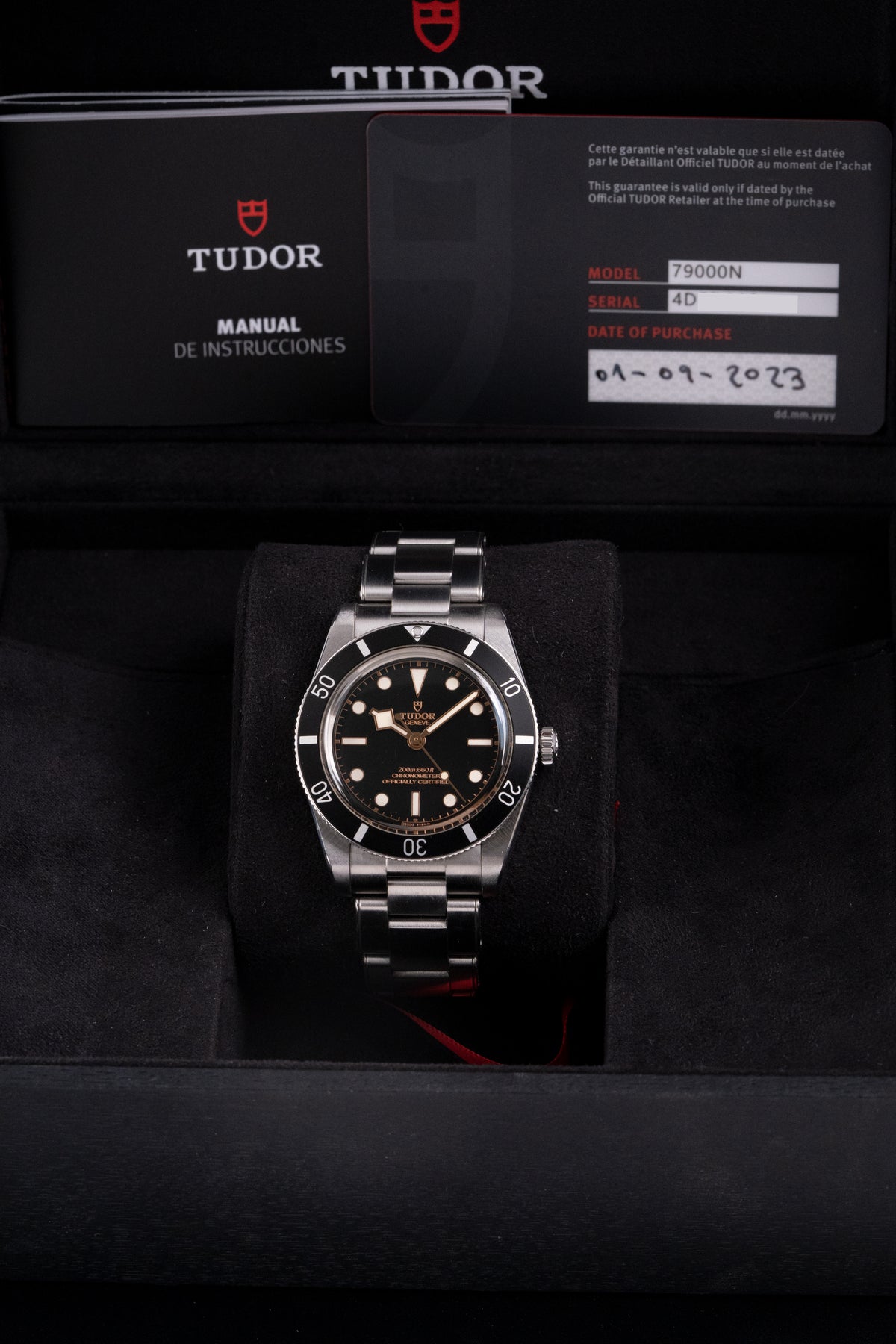 Tudor Black Bay 54