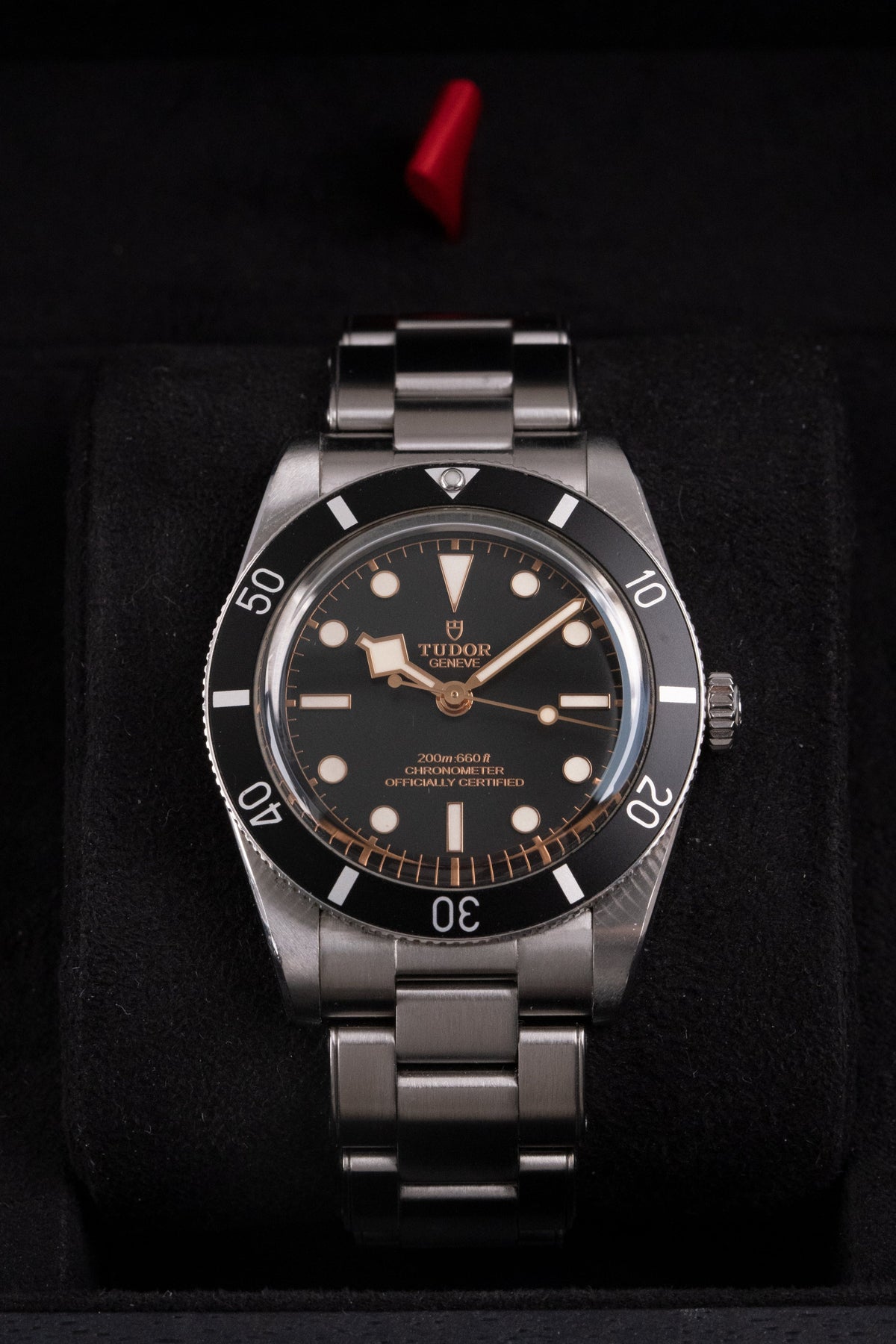 Tudor Black Bay 54